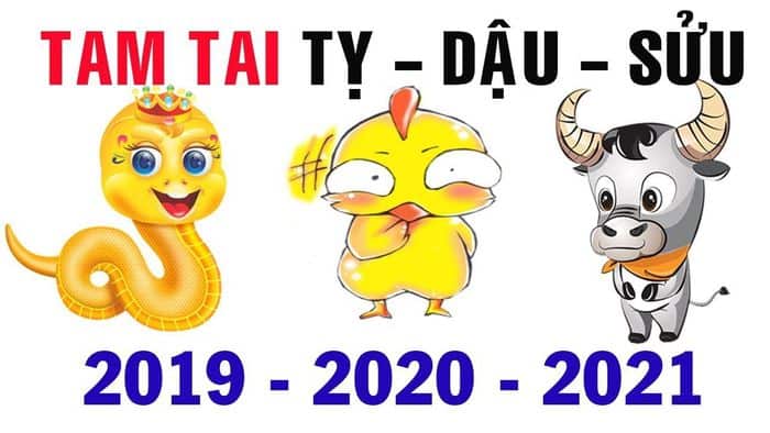 2021 Năm của Ba Tai