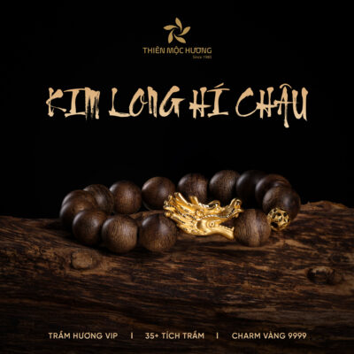 Vòng Trầm Hương Kim Long Hí Châu - Masterpiece Of Dragon