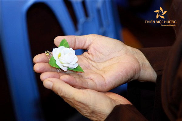 Bông hồng trắng nhắc nhở về sự mất đi cha mẹ