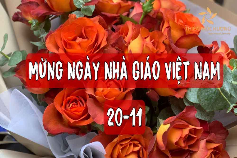 Hình ảnh hoa chúc mừng ngày Nhà giáo Việt Nam với hoa đỏ phá cách