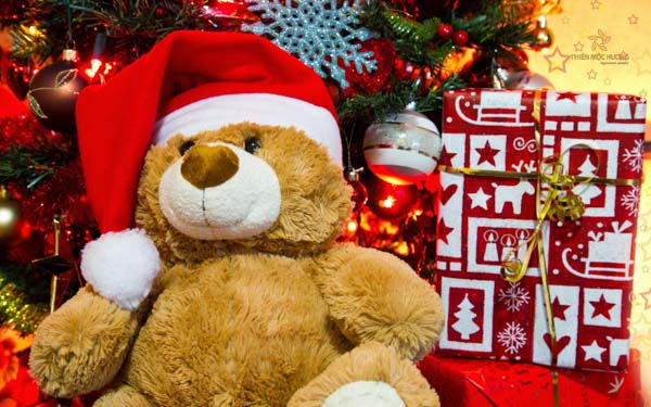 Gấu bông - quà tặng Giáng Sinh cho đồng nghiệp dễ thương