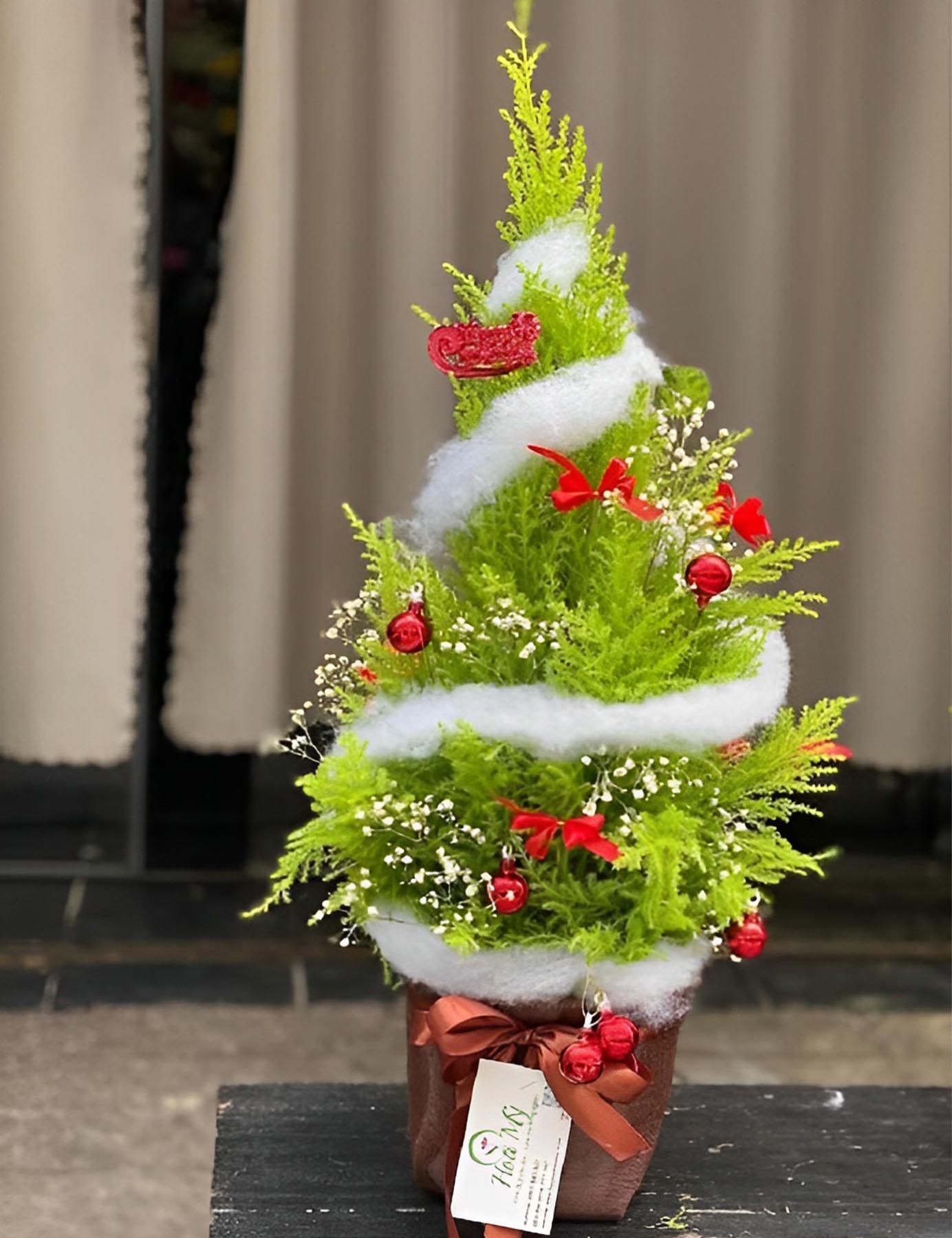 Tặng đồng nghiệp cây cảnh để bàn