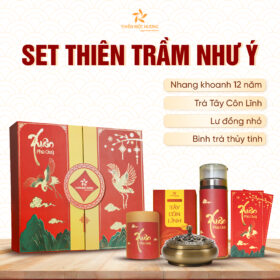 set-thien-tram-nhu-y