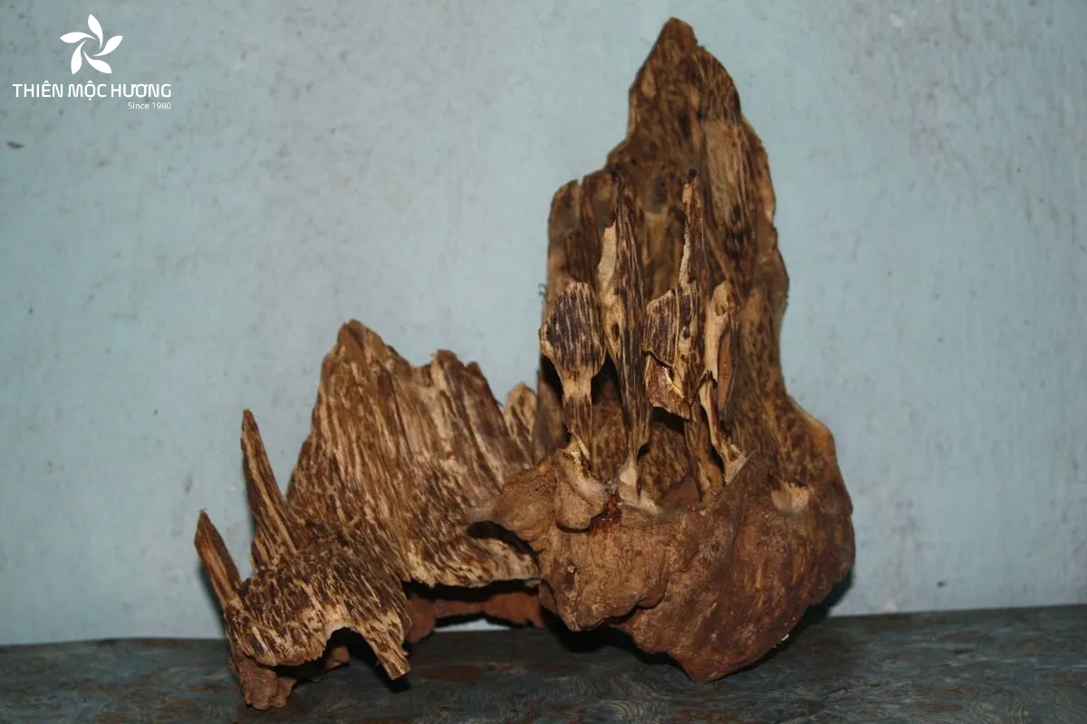 Kỳ nam nổi bật với mùi thơm sâu, nồng và lưu hương rất lâu, mang giá trị phong thủy, y học và sưu tầm cực kỳ cao