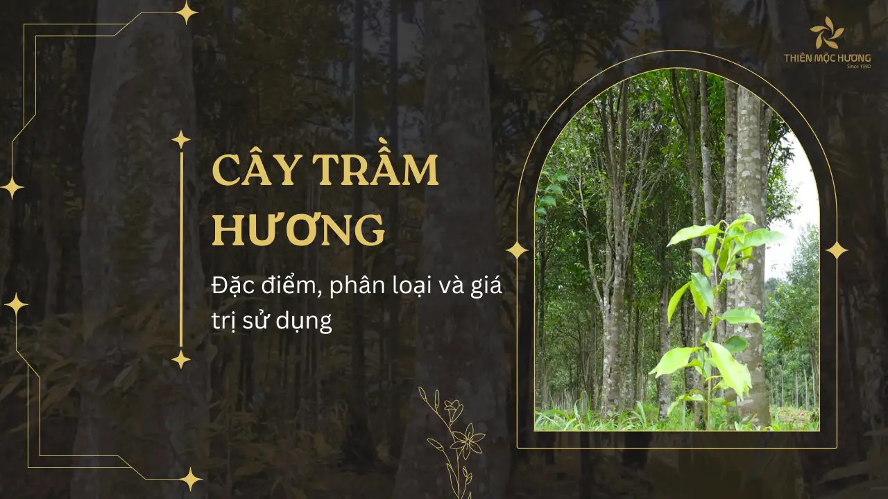 cây trầm hương