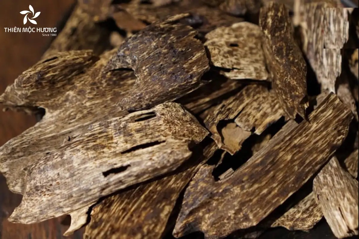 Kỳ nam có khả năng hỗ trợ điều trị nhiều bệnh, cải thiện sức khỏe toàn diện và được ứng dụng trong cả y học cổ truyền lẫn hiện đại