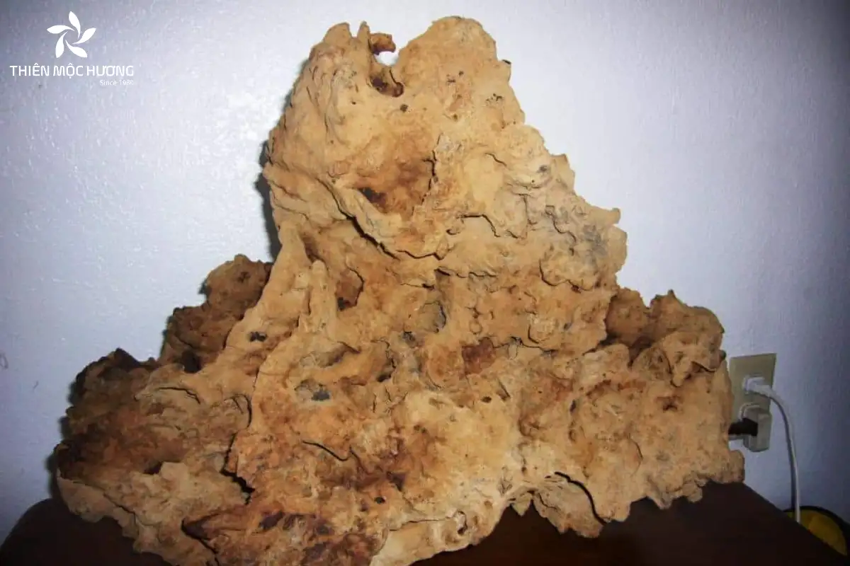 Kỳ nam giữ vai trò quan trọng trong đời sống tâm linh Á Đông, được tin là mang lại sự an yên và bảo vệ con người khỏi tà khí